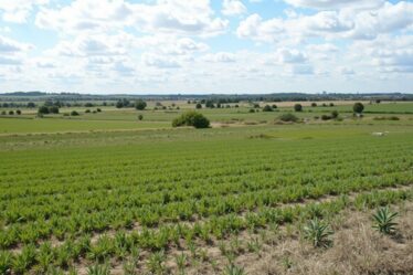 Prix du m² des terrains par commune : analyse comparative et évolutions récentes