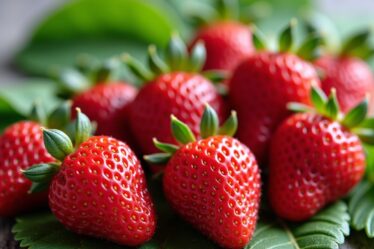 Guide pratique pour sélectionner la fraise à carotter idéale pour vos projets de perçage