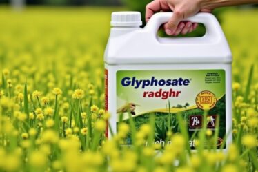 Glyphosate Radikal 5L en Espagne : guide complet pour l'achat et l'utilisation efficace du désherbant